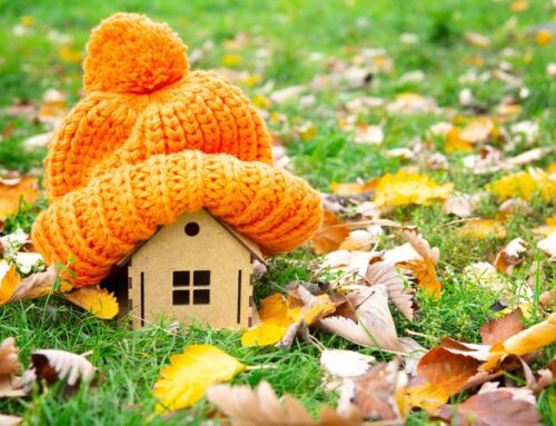 Winter-Proofing Your Home: Expert Tips from a Surveyor